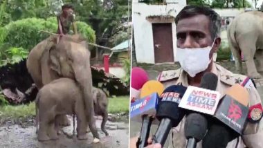 Assam: हथिनी और नन्हे हाथी पर हत्या का आरोप, जांच के लिए पुलिस ले आई दोनों को थाने