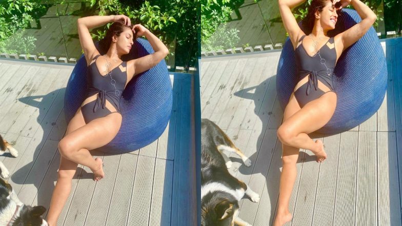 Priyanka Chopra Bikini Photo: 39 साल की उम्र में भी कायम है प्रियंका चोपड़ा का जलवा, लेटेस्ट बिकिनी फोटो उड़ा देगी होश