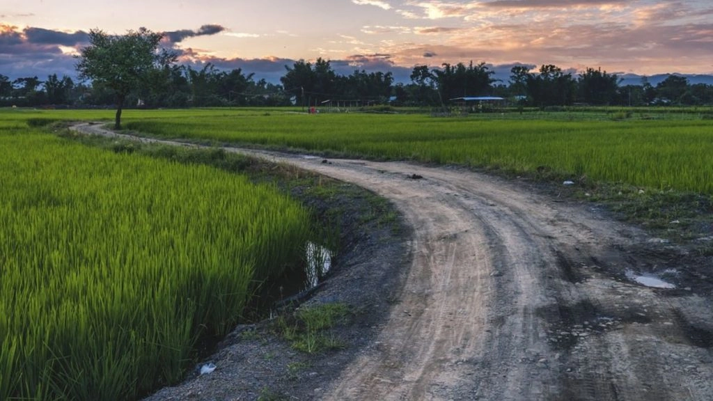 Madhya Pradesh: रातों-रात चोरी हुई 1 किमी सड़क, ग्रामीणों ने पुलिस और पंचायत अधिकारियों से की शिकायत 