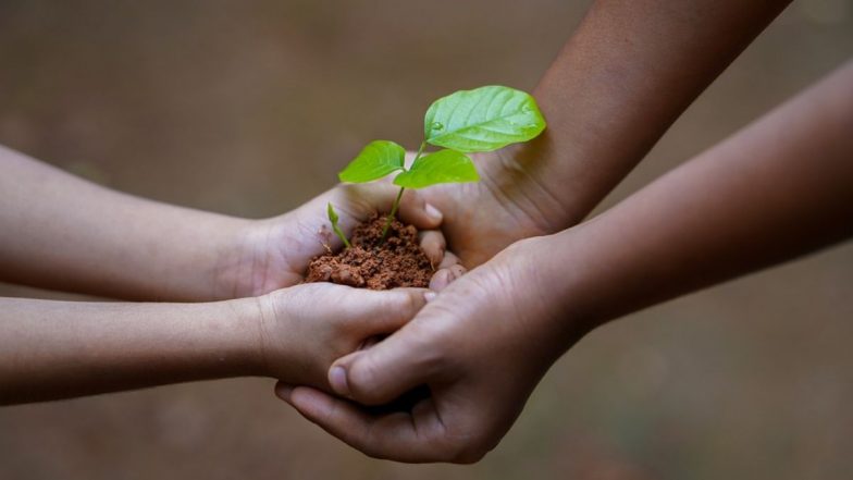 Harela 2021: उत्तराखंड का लोक उत्सव है हरेला, भगवान शिव और माता पार्वती को समर्पित इस पर्व में पौधे लगाने की है परंपरा