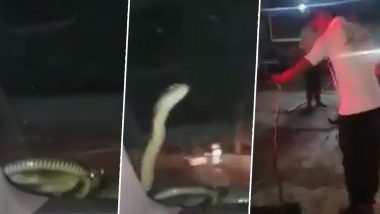 Snake Viral Video: महाराष्ट्र के धुले में चलती कार के डैशबोर्ड पर अचानक निकल आया सांप, फिर जो हुआ… देखें वायरल वीडियो