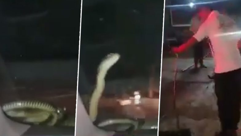 Snake Viral Video: महाराष्ट्र के धुले में चलती कार के डैशबोर्ड पर अचानक निकल आया सांप, फिर जो हुआ… देखें वायरल वीडियो