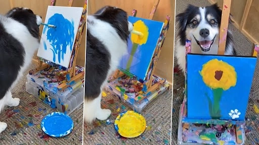 कैनवास पर पेंटिंग करते हुए इस क्यूट डॉग का क्लिप वायरल