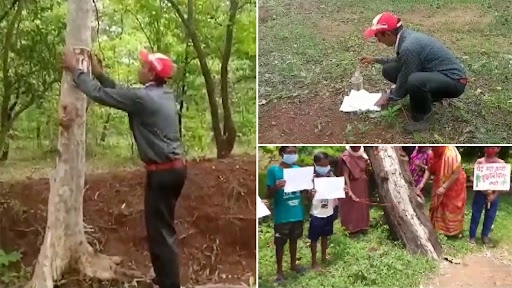 बालोद में बाईपास निर्माण के लिए कटेंगे 2,900 पेड़, पर्यावरण कार्यकर्ता उतरे विरोध प्रदर्शन पर 