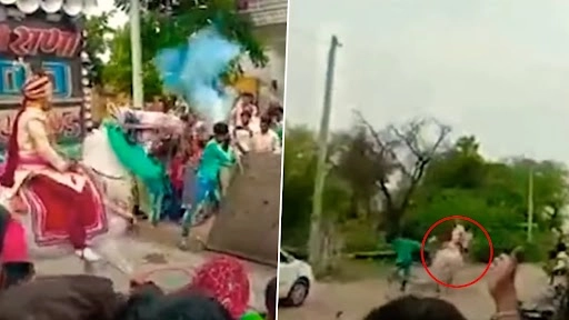 दूल्हे को लेकर घोड़ी भागी, बारातियों में किया 4 किमी तक पीछा, उसके बाद जो हुआ देखें वीडियो