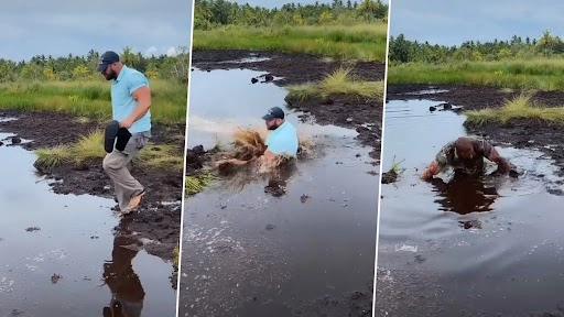 दलदल पार करने की कोशिश में कीचड़ में गिरा पति, पत्नी हंस हंस कर हुई लोट पोट, देखें वीडियो
