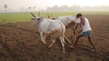 PM-Kisan Yojana: असम के 12 लाख अपात्र किसानों को मिली पीएम-किसान योजना की सहायता राशि