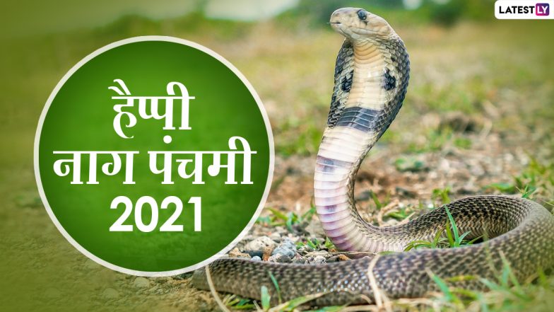 Nag Panchami 2021 HD Images: नाग पंचमी के इन आकर्षक Photo Wishes, WhatsApp Status, Facebook Greetings, GIFs, Wallpapers के जरिए दें प्रियजनों को बधाई