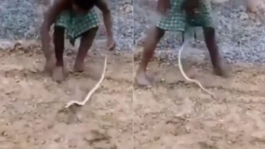 सांप को छेड़ने की शख्स को चुकानी पड़ी भारी कीमत, गुस्साए नागराज ने ऐसे सिखाया सबक (Watch Viral Video)