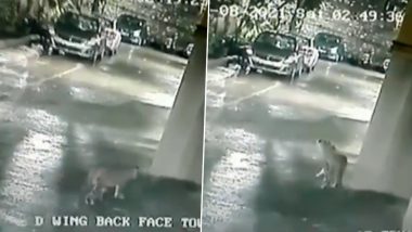 मुंबई के गोरेगांव की एक रिहायशी इलाके में घुसा तेंदुआ, CCTV में कैद- देखें वीडियो
