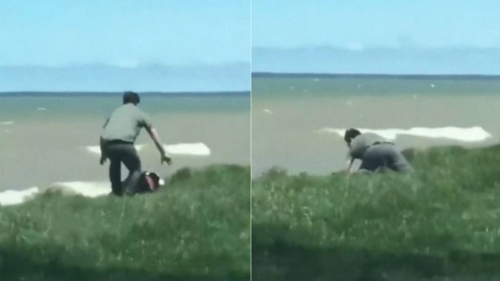 पानी में गिरा कुत्ता तो मसीहा बनकर शख्स ने ऐसे बचाई उसकी जान, वीडियो हुआ वायरल (Watch Viral Video)