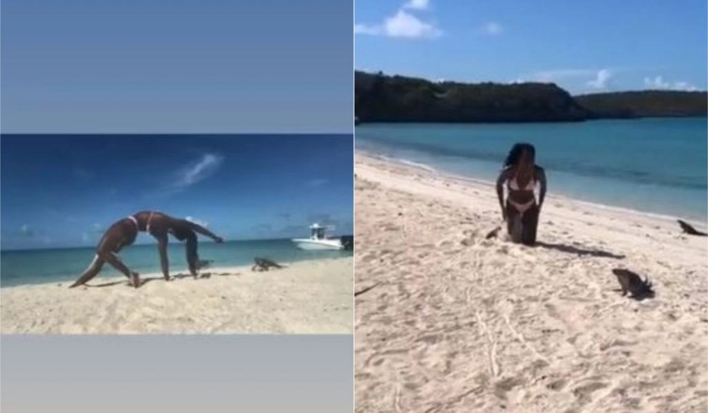 बीच पर योग करते समय Iguana ने महिला को काट लिया, फिर जो हुआ… Viral Video देख आप हो जाएंगे हैरान 