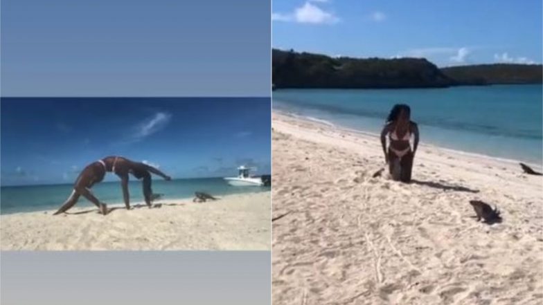 बीच पर योग करते समय Iguana ने महिला को काट लिया, फिर जो हुआ… Viral Video देख आप हो जाएंगे हैरान