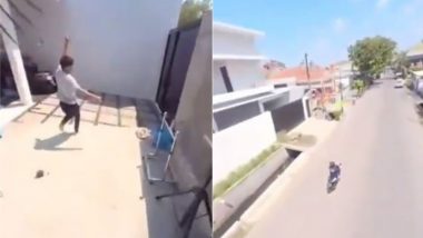 लड़के से मोबाइल छीनकर तोता हुआ फरार, उड़ते हुए बनाया मन को मोह लेने वाला वीडियो (Watch Viral Video)