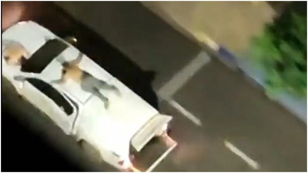 ब्राजील में फिल्मी स्टाइल में लूटा बैंक, बंदूकधारी डकैतों ने पुलिस से बचने के लिए लोगों कार के ऊपर बांधा!