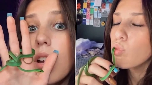 सांपों से खेलती है ये लड़की, इसके स्टंट उड़ा देगी आपकी नींद, देखें वायरल वीडियो