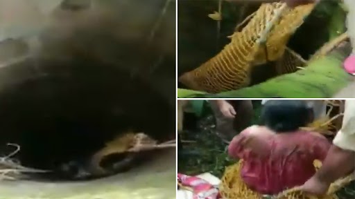 केरल: वायनाड में 50 फीट गहरे कुएं में जा गिरी महिला, दमकल विभाग के अधिकारियों और स्थानीय लोगों ने ऐसे बचाया, देखें वीडियो