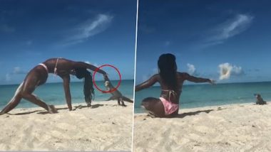Bikini Yoga Video: समुद्र किनारे योग करते समय विशाल छिपकली ने महिला को काटा, होने लगी ब्लीडिंग, देखें वीडियो