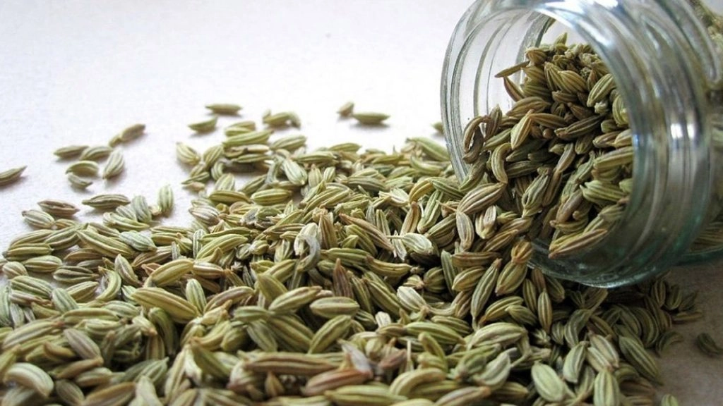 हरी सौंफ के चमत्कारी गुणः ये पुरुषों में सेक्स पॉवर तो महिलाओं में कामोत्तेजना को बढ़ाते हैं, जानें और क्या है इनमें औषधीय गुण?   
