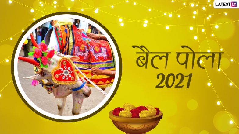 Bail Pola 2021: गाय और बैल को समर्पित है बैल पोला महोत्सव! जानें कब, कैसे और कहां-कहां मनाया जाता है यह पर्व?