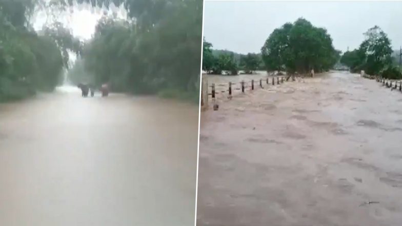 छत्तीसगढ़: लगातार हो रही भारी बारिश की वजह से गरियाबंद के निचले इलाके डूबे