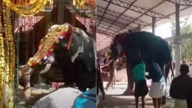 Thiruvilwamala Elephant Video: विलवद्रीनाथ मंदिर के अंदर हाथी ने तोड़ा लाइट हाउस, रंगारंग उत्सव के दौरान हुई गजराज की मौत