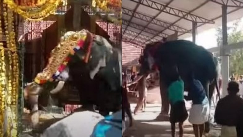 Thiruvilwamala Elephant Video: विलवद्रीनाथ मंदिर के अंदर हाथी ने तोड़ा लाइट हाउस, रंगारंग उत्सव के दौरान हुई गजराज की मौत