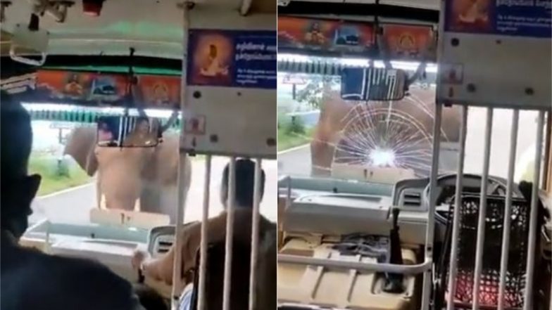 Elephant Viral Video: यात्रियों से भरी बस पर फूटा हाथी का गुस्सा, वायरल वीडियो में देखें कैसे ड्राइवर ने किया इस स्थिति का सामना