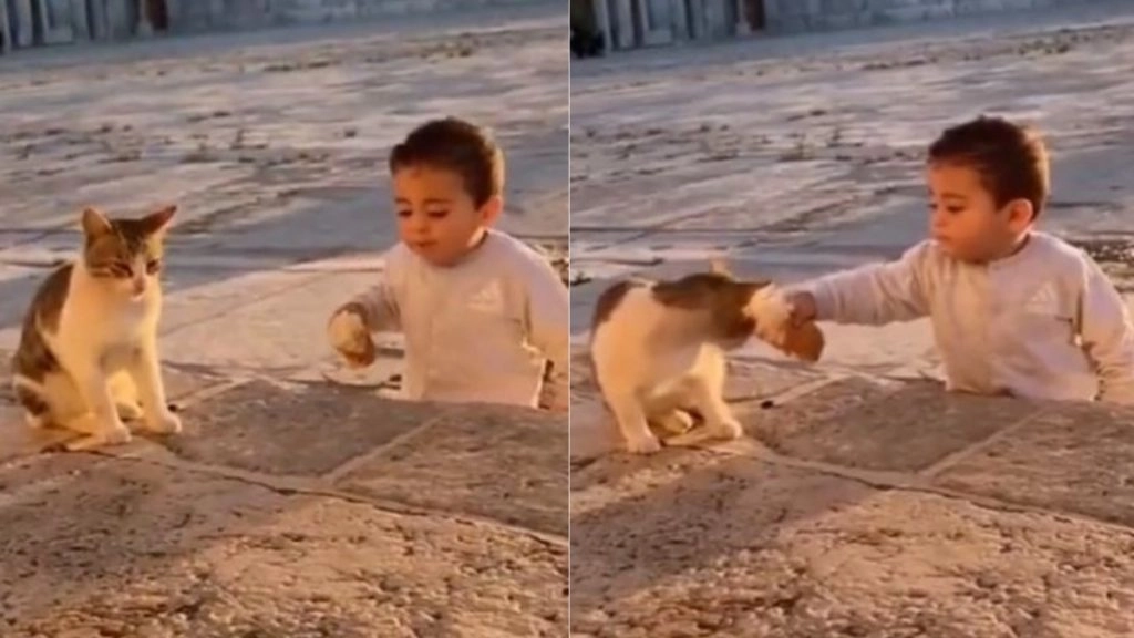Viral Video: 'शेयरिंग इज केयरिंग' का छोटे बच्चे ने दिया संदेश, बिल्ली को अपना खाना ऑफर कर जीता सबका दिल