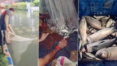 Kolkata Rains: कोलकता के न्यूटाउन में जलभराव वाली सड़क पर मिली 15 किलो कतला मछली (Watch Video)