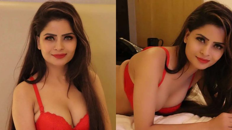 Gehana Vasisth ने रेड ब्रा पहनकर करवाया सेक्सी फोटोशूट, Hotness देखकर रह जाएंगे हैरान
