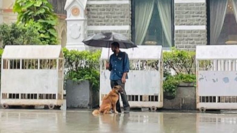 Viral Pic: बारिश में भीग रहा था कुत्ता, छतरी लेकर खड़े शख्स ने ऐसे की जानवर की मदद