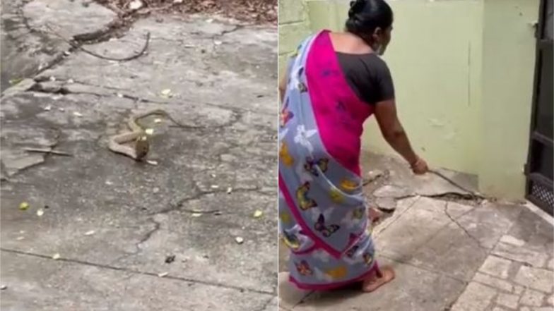 Snake Viral Video: घर में घुसे खतरनाक सांप का महिला ने हिम्मत से किया सामना, नागराज को ऐसे दिखाया बाहर का रास्ता