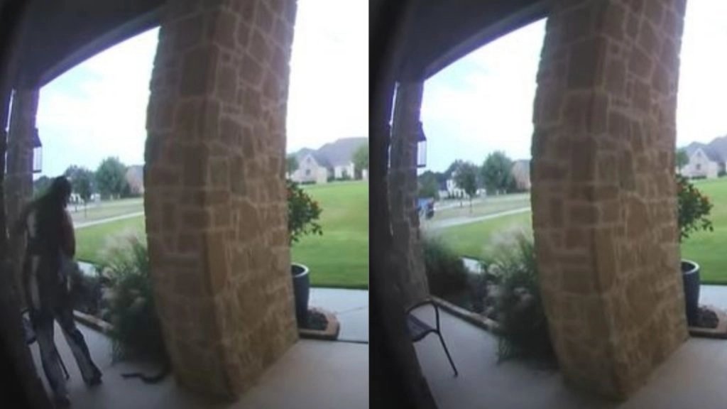 बरामदे में झाड़ियों के बीच छिपा बैठा था सांप, महिला के पास जाते ही फन फैलाकर आया सामने फिर…