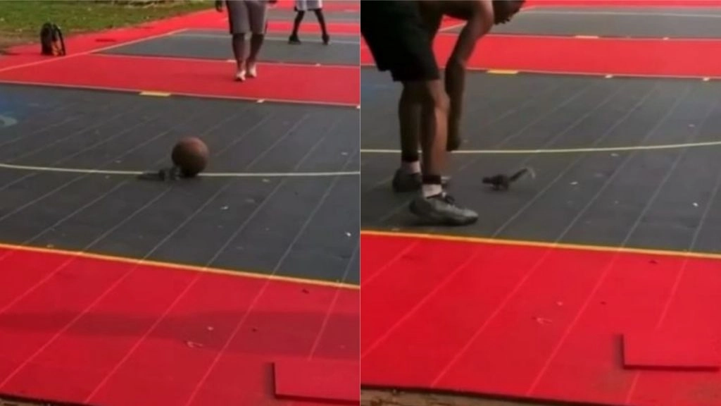 Viral Video: पुरुषों के बीच बॉस्केटबॉल खेलती दिखी नन्ही गिलहरी, सोशल मीडिया पर वायरल हुआ मनमोहक वीडियो