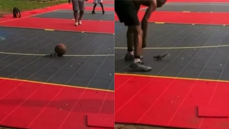 Viral Video: पुरुषों के बीच बॉस्केटबॉल खेलती दिखी नन्ही गिलहरी, सोशल मीडिया पर वायरल हुआ मनमोहक वीडियो