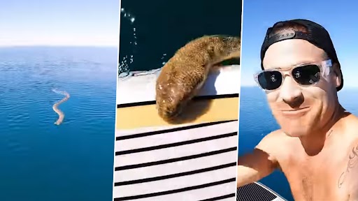Sea Snake Video: समुद्र में सर्फिंग के दौरान पेडल बोर्ड पर चढ़ा सांप, उसके बाद जो हुआ देखें वीडियो