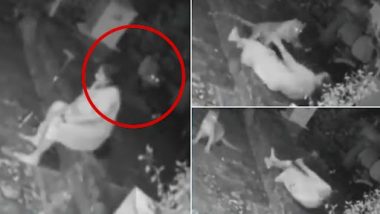Leopard Attacked Woman: मुंबई के आरे कॉलोनी में महिला पर तेंदुए ने किया हमला, बुजुर्ग ने ऐसे बचाई जान, देखें वायरल वीडियो
