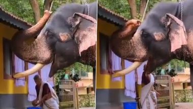 Elephant Video: एक हाथी को खाना खिलाते हुए बूढ़ी अम्मा का वीडियो वायरल, वीडियो देख हो जाएंगे इमोशनल