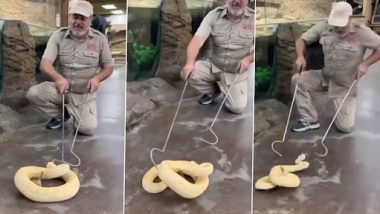 Rattle Snake Video: जू के मैनेजर पर गुस्साया रैटल स्नेक, जोरों से आवाज़ निकालकर ऐसे किया हमला, देखें वीडियो