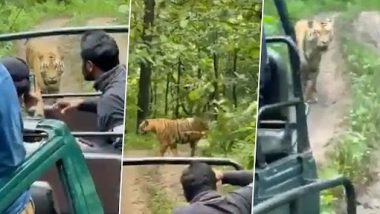 Viral Video: जीप के करीब आने के बाद भी बाघ को परेशान करते नज़र आए टूरिस्ट, घट सकती थी बड़ी घटना, देखें वीडियो