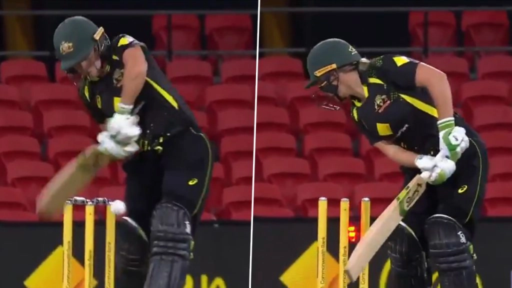 शिखा पांडे की खतरनाक इन-स्विंग गेंद पर बोल्ड हुईं ऑस्ट्रेलियाई कप्तान एलिसा हीली, देखें वीडियो 