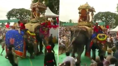 Karnataka Dasara Celebrations: दशहरा मेले में पटाखे की आवाज से भड़का हाथी, महावत ने किसी तरह किया काबू- देखें वीडियो