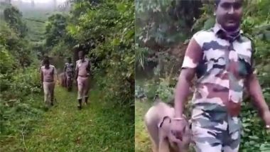 Viral Video: मां हथिनी से मिलाने के लिए खोए हुए नन्हे हाथी को अपने साथ ले गए वनकर्मी, परिवार से मिलाने में ऐसे की मदद