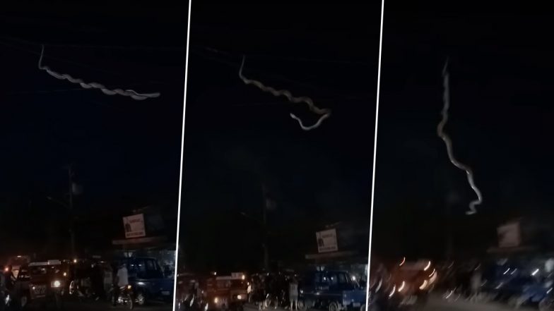 Snake Viral Video: ओवरहेड केबल से लटका विशालकाय सांप, सड़क पर गिरते ही मची लोगों के बीच अफरा-तफरी