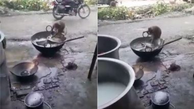 होटल के बाहर इंसानों की तरह जब बर्तन धोने लगा बंदर, Viral Video देख चकरा जाएगा आपका सिर