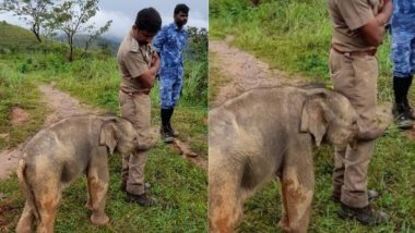 Viral Pic: मां से मिलने के बाद बिछड़े हुए नन्हे हाथी ने तमिलनाडु के वन अधिकारी को लगाया गले, दिल जीतने वाली तस्वीर वायरल