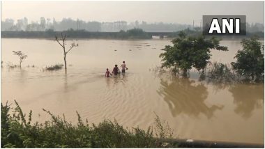 Uttar Pradesh: मुरादाबाद में भारी बारिश और बाढ़ ने किसानों की मेहनत पर फेरा पानी, धान सहित कई अन्य फसलें बर्बाद