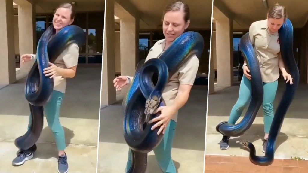 विशालकाय अजगर को गले में लपेटकर महिला ने किया कुछ ऐसा, लोगों ने पागलपन से की इस हरकत की तुलना
