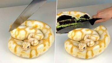 Snake Cake: सोशल मीडिया पर स्नेक केक का क्लिप वायरल, असली और नकली सांप में नहीं कर पाएंगे फर्क